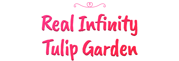 Real Infinity Tulip Festival