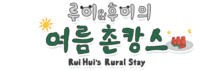 루이&후이의 여름촌캉스