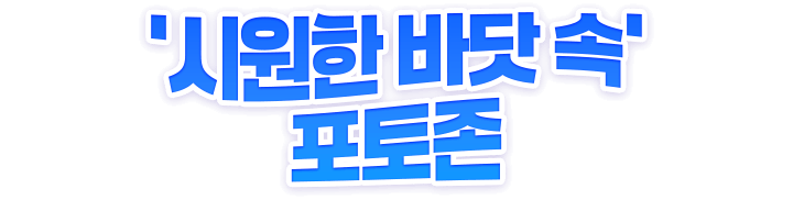 시원한 바닷 속 포토존